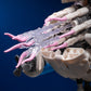 🦑🔧Mechanical Nautilus Assembled Building Block Ornament Toy🎁 57% OFF on the Second Item! Creative Building, Educational Toy, New Home Decor Choice!